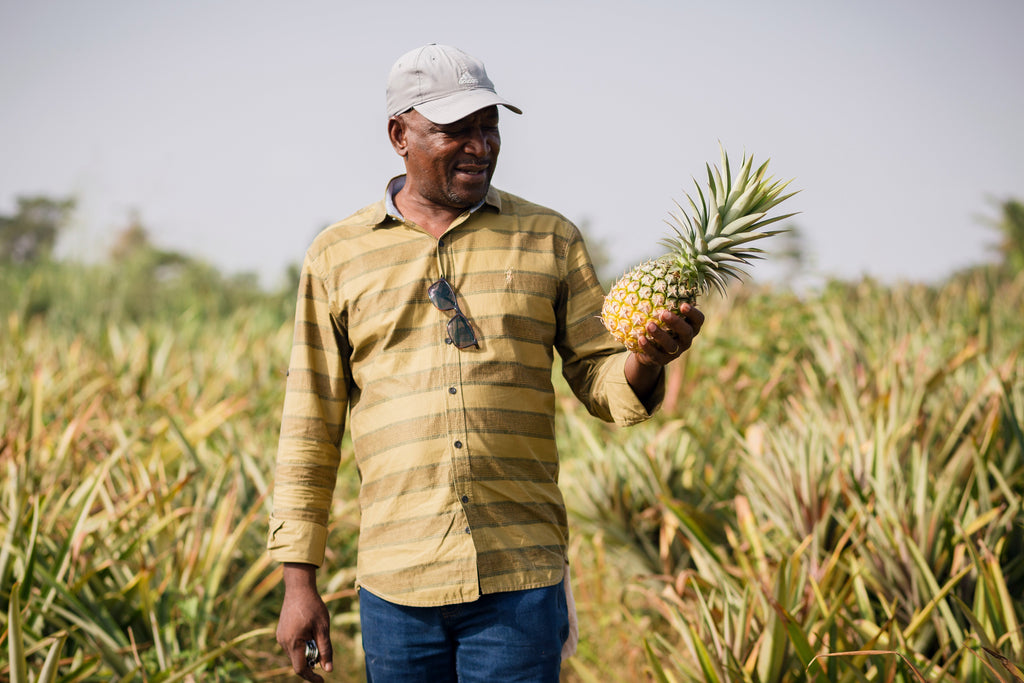 Is organic dried pineapple good for you?