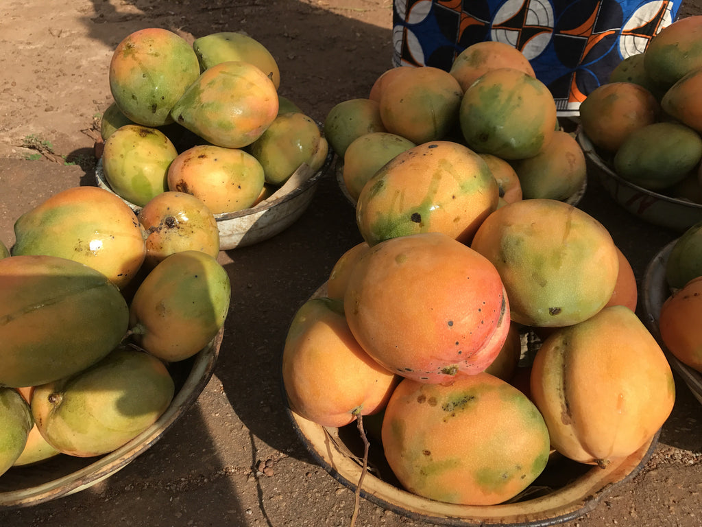 West Africa Mango Trip 2017