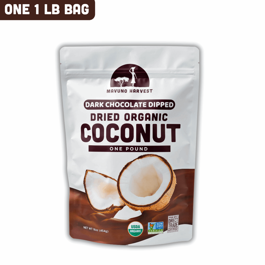 Organic Dried Coconut Dipped in Dark Chocolate
