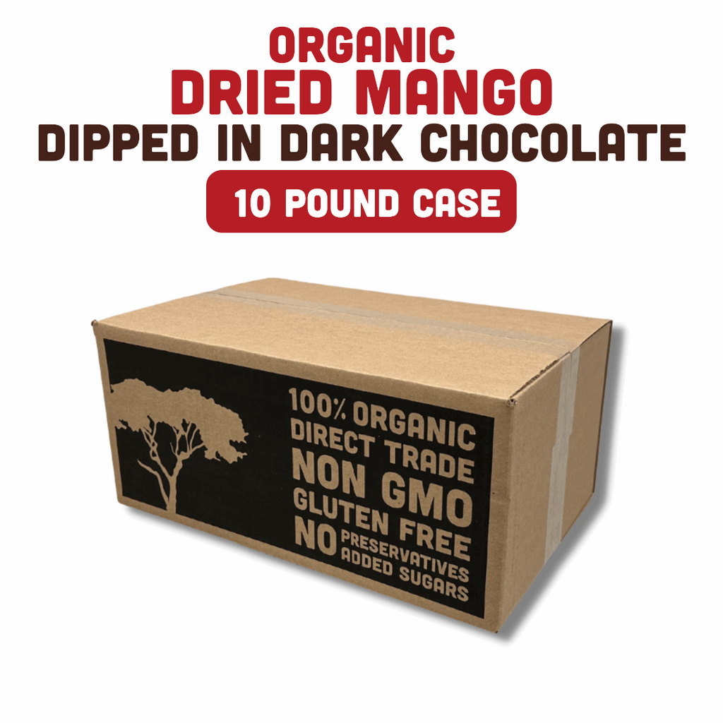 Organic Dried Mango Dipped in Dark Chocolate