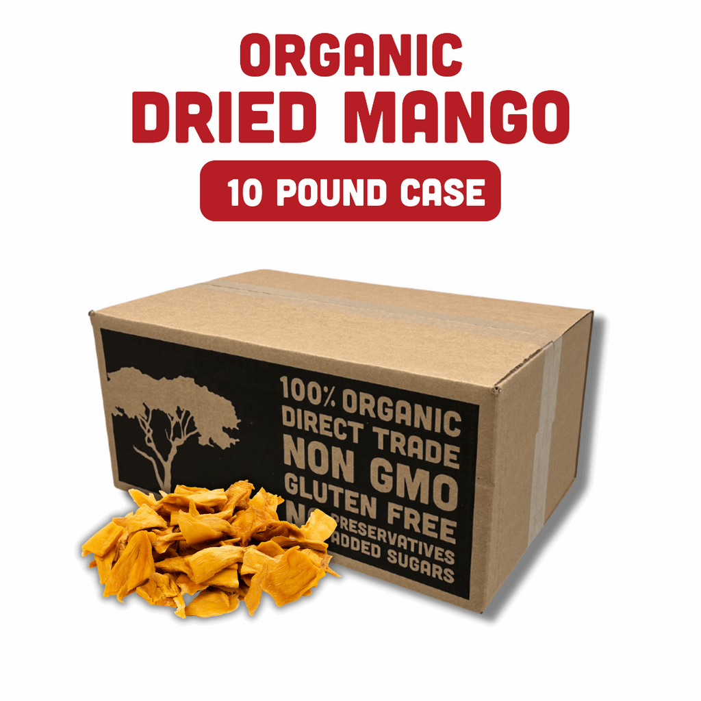 Organic Dried Mango case